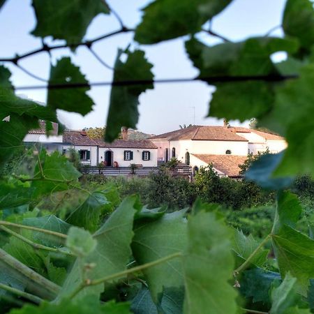 Casa Vacanze Etna Пьедимонте-Этнео Экстерьер фото