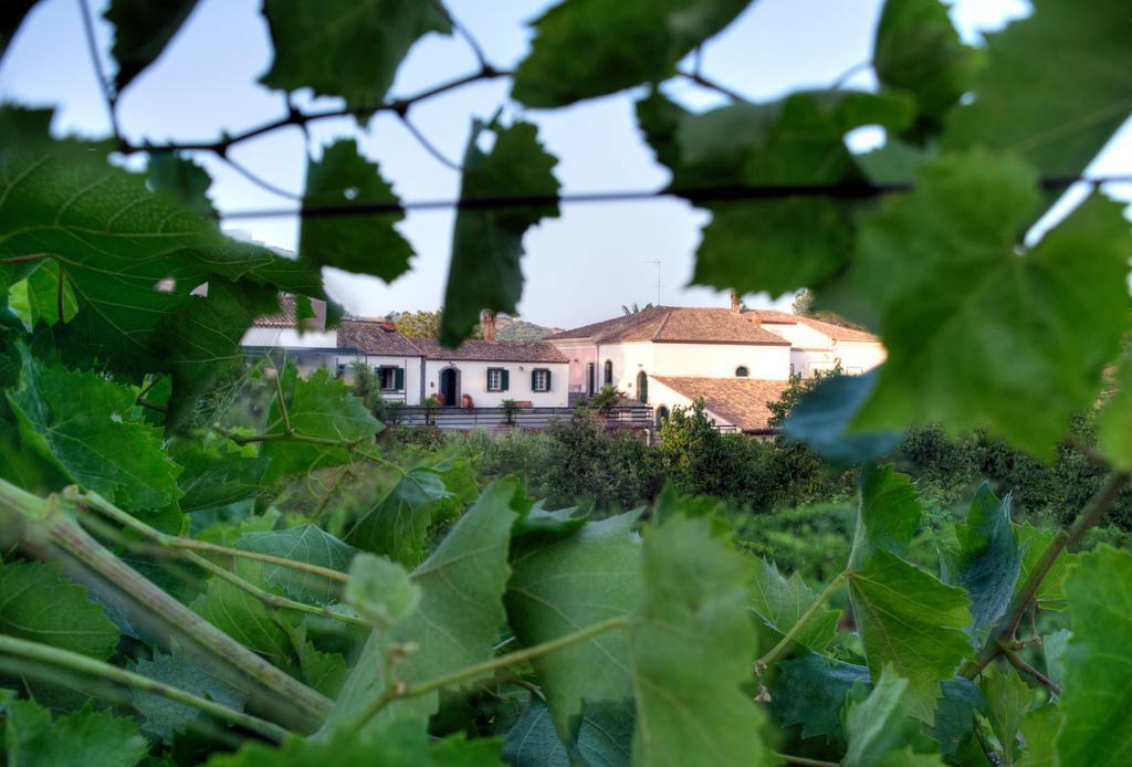 Casa Vacanze Etna Пьедимонте-Этнео Экстерьер фото